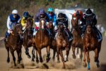 Vídeos i fotos: Vila-seca reviu unes curses de cavalls que s’apropen als 150 anys d’existència